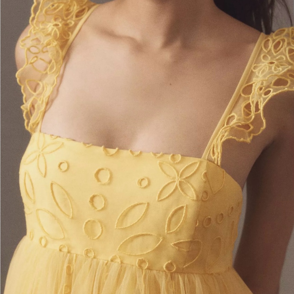 NWT $198 Anthropology Let Me Be Eyelet Tulle Mini Dress - Picture 5 of 5